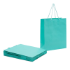 SARVAH 12-Piece Plain Gift Bag Green
