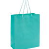 SARVAH 12-Piece Plain Gift Bag Green - Image 2