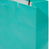 SARVAH 12-Piece Plain Gift Bag Green - Image 3
