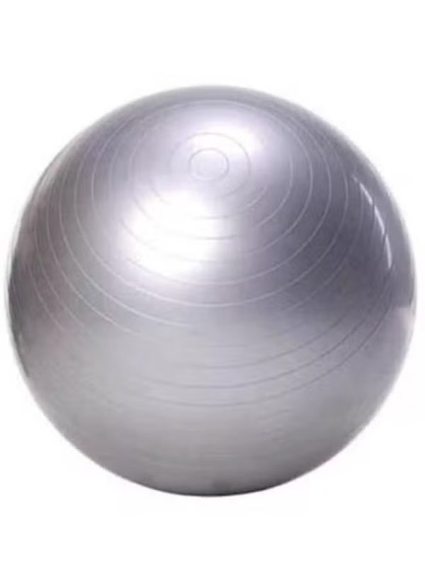 ACLIX Fitness Exercise Swiss Gym Fit Yoga Core Ball Abdominal Back Workout